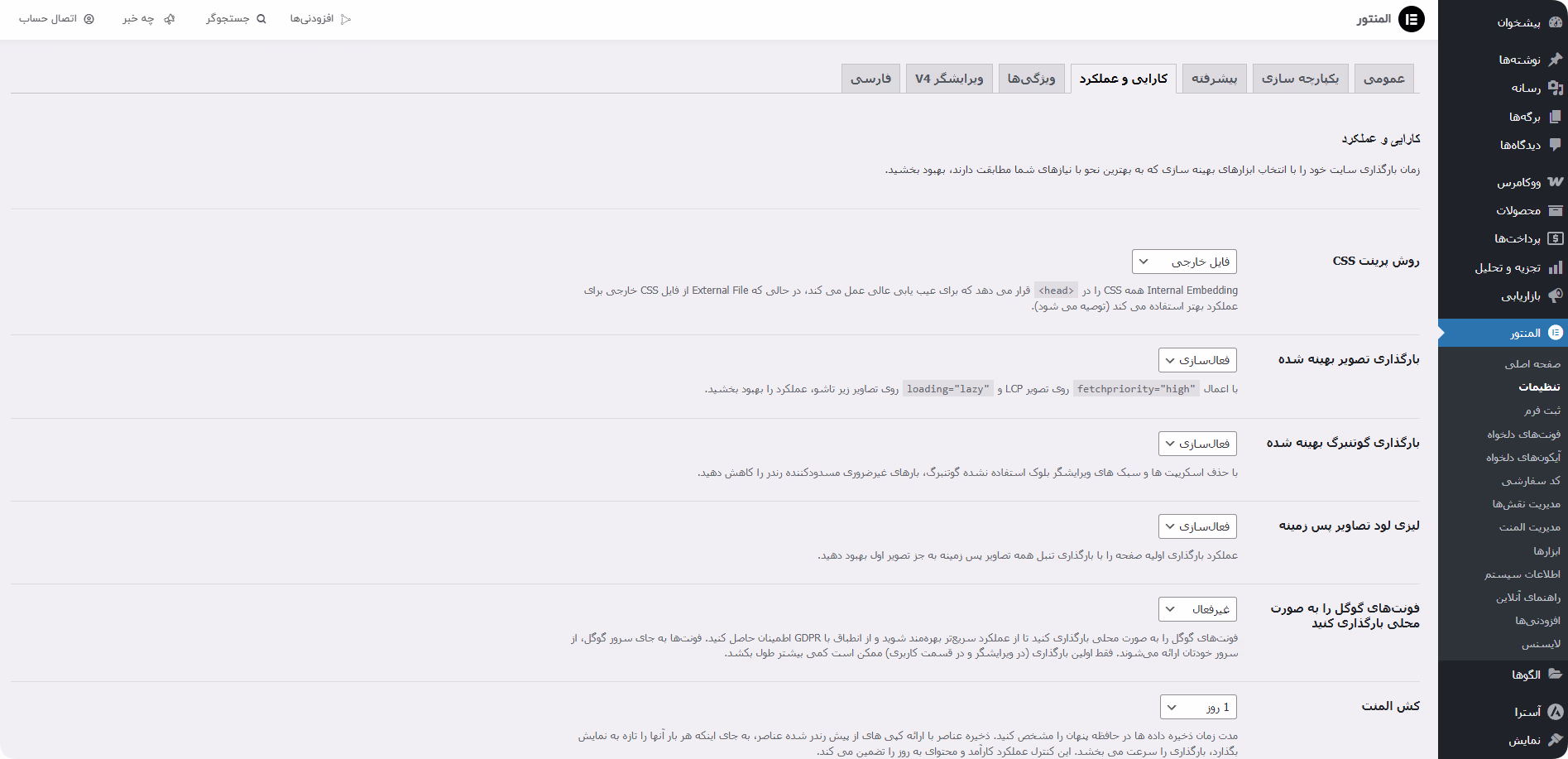 تنظیمهای تب کارایی افزونه elementor pro کارایی و و عملکرد افزونه المنتور پرو